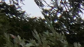 The pavement surface of the parking lot of Wayfarers Chapel shows multiple repairs due to damage from landslides in Rancho Palos Verdes, Calif., Wednesday, May 15, 2024. The modernist chapel features organic architecture with glass walls nestled in a redwood grove overlooking the Pacific Ocean. The Wayfarers Chapel was designed by architect Lloyd Wright, son of Frank Lloyd Wright, and completed in 1951. Wayfarers Chapel management announced plans to move forward with the disassembly of the iconic structure to save it from landslide destruction. (AP Photo/Damian Dovarganes)