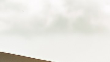 Los animales pueden ser guías espirituales.