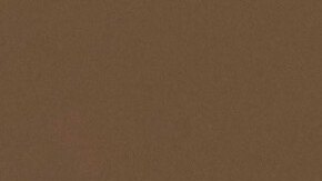 Científicos buscan rejuvenecer cerebros con tejido cultivado