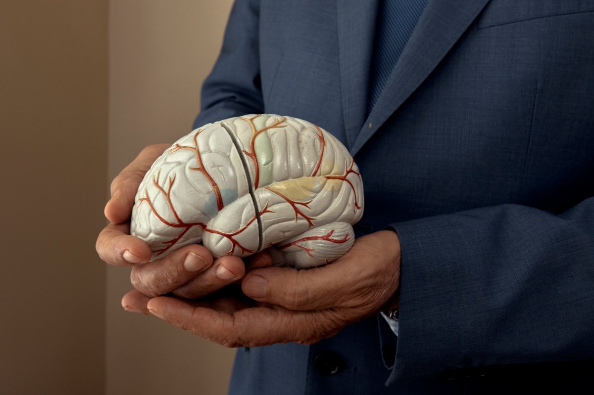 Estos 6 alimentos harán que tu cerebro sea más sano