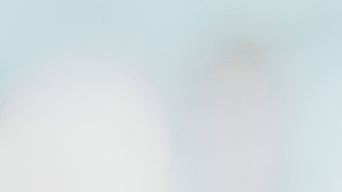 Las 8 monedas más raras buscadas por los coleccionistas