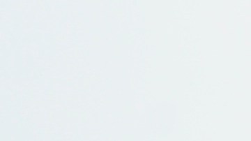 Estudio corrobora origen de COVID en mercado chino de Huanan