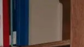 El rapero y magnate musical Sean "Diddy" Combs comparte en el MDC una habitación tipo dormitorio con el empresario de criptomonedas Sam Bankman-Fried.