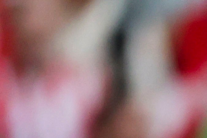 El guardameta mexicano Álex Padilla volvió a jugar después de un mes tras haber sido titular en la derrota ante el FC Barcelona el pasado 24 de agosto.