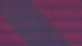 VIDEO: AMLO descarta castigo contra la persona que le aventó una botella durante gira por Veracruz