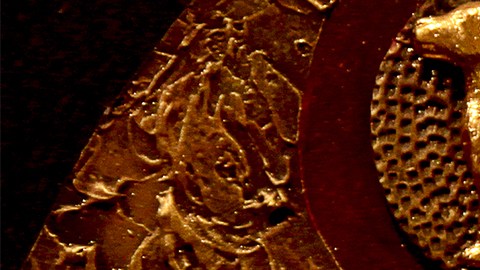 El horóscopo chino está conformado por 12 signos representados por animales.