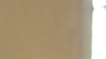 Caucus demócratas se unen y condenan por retórica falsa y peligrosa sobre familias haitianas