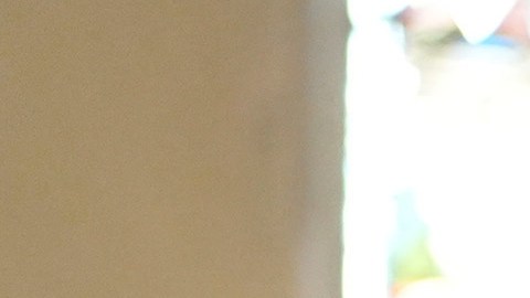 Caucus demócratas se unen y condenan por retórica falsa y peligrosa sobre familias haitianas
