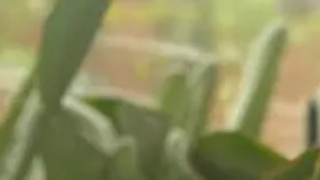 Jared Ramírez es uno de los 135 presos políticos liberados por el gobierno de Ortega el pasado 5 de septiembre.