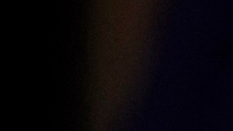 Biden reiteró su llamamiento en favor de prohibir las armas de asalto o de acabar con la inmunidad de los fabricantes.