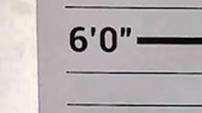 El sheriff del condado de Letcher, Shawn Stines, está acusado de asesinato por el tiroteo fatal de un juez.