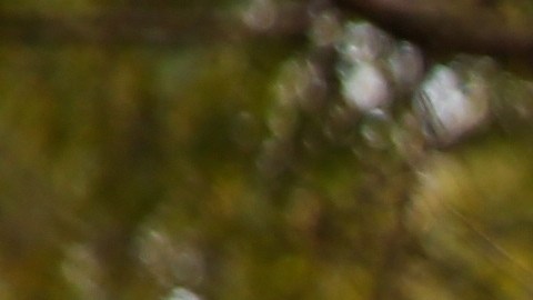 4 signos enfrentarán las inclemencias del karma en este otoño.
