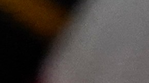 Liz Cheney llama a otros republicanos e independientes anti-Trump al voto por Harris