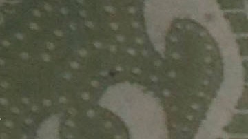 “Sentía miedo”: Marjorie de Sousa comparte que se retiró los implantes mamarios