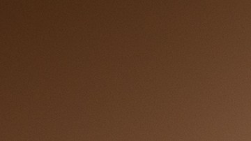 Los hondureños los obligaban a llamar a sus familiares para que pagaran más de $1,000 dólares para ser liberados.