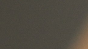 ¿Cómo conservar las monedas antiguas para venderlas en el mercado de subastas?