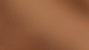 Así son las 5 monedas más raras que los ricos coleccionan