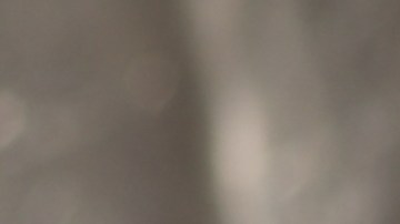 Las 5 monedas de 25 centavos más extrañas que tienen un gran valor