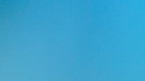 Las moscas en la casa pueden tener un significado positivo.