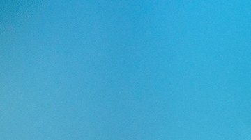 Las moscas en la casa pueden tener un significado positivo.