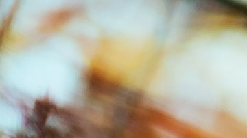 El otoño es una estación que se asocia con la abundancia.