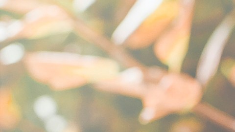 El otoño llega el 22 de septiembre con un profundo significado espiritual.