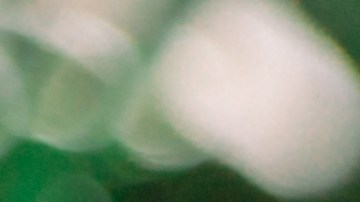 Los sahumerios son poderosos complementos para tus rituales.