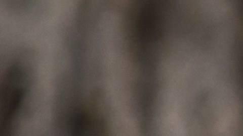 Las 5 monedas de los años 60 que valen más de $10,000