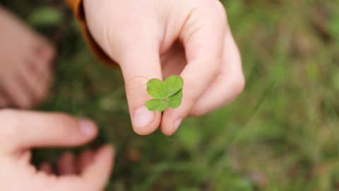 La suerte, representada en este trébol, estará junto a estos 3 signos del zodiaco.