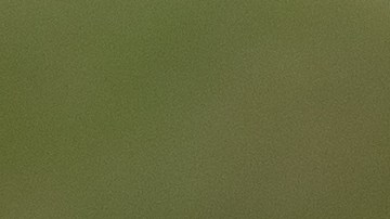 13 productos de Costco que un miembro ejecutivo siempre compra para su hogar