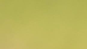 Garden Grove City Councilwoman Kim B. Nguyen Penaloza