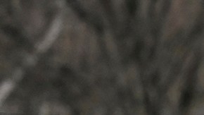 Crímenes violentos descendieron un 3 % en EE.UU. en 2023, según el FBI