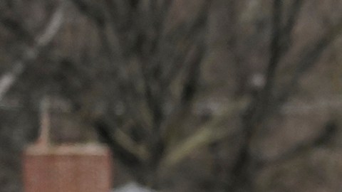 Crímenes violentos descendieron un 3 % en EE.UU. en 2023, según el FBI