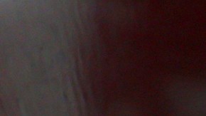 ¿Es obligatorio votar en los Estados Unidos?