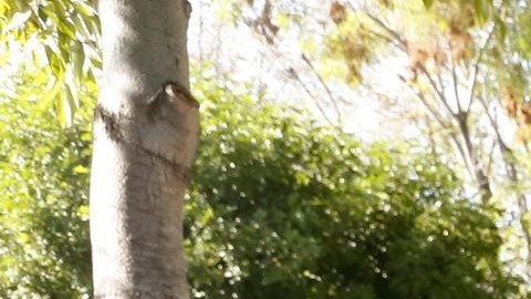Históricamente los jóvenes son el grupo que menos participación ha tenido en las elecciones.