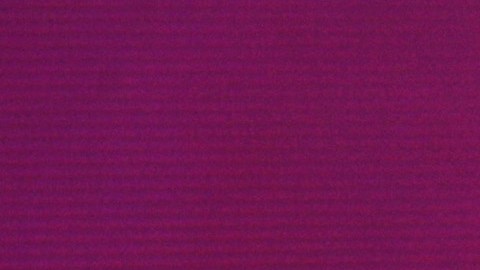 Laura Bozzo Daniella Navarro