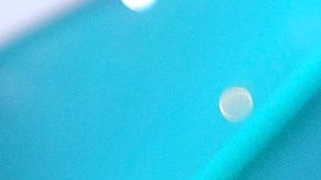 Chikybombom Marjorie de Sousa Julián Gil