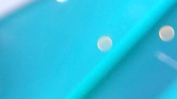 Chikybombom Marjorie de Sousa Julián Gil