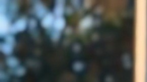 Los cuatro jóvenes candidatos: de izq. a der. arriba: Miguel de la Rosa, Jorge Herrera Ávila, Jorgel Chávez y Gabriela Gómez /