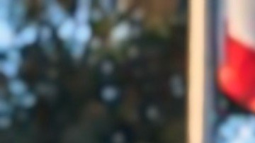 Los cuatro jóvenes candidatos: de izq. a der. arriba: Miguel de la Rosa, Jorge Herrera Ávila, Jorgel Chávez y Gabriela Gómez /