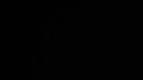 Porto (Portugal), 02/10/2024.- Manchester United's head coach Erik ten Hag attends a press conference, in Porto, Portugal, 02 October 2024. Manchester United will face FC Porto in their UEFA Europa League match on 03 October 2024. EFE/EPA/ESTELA SILVA