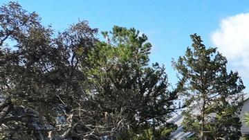 Florida en estado de emergencia por llegada de Milton