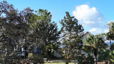 Florida en estado de emergencia por llegada de Milton