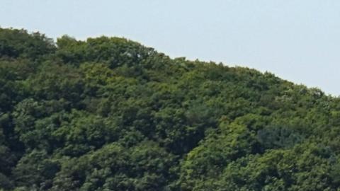 Corea del Norte destruye carreteras que conectan con el Sur