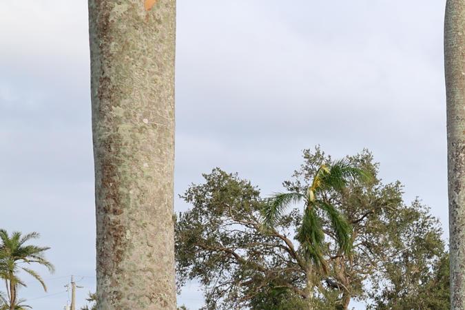 La tormenta ha dejado sin electricidad a más de 3,4 millones de hogares y empresas