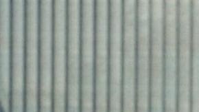 Jesse Eisenberg Kieran Culkin A Real Pain