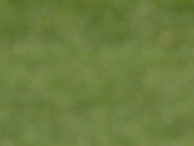 Reinaldo Rueda dirigiendo un entrenamiento de la Selección de Honduras durante la Copa del Mundo Sudáfrica 2010.