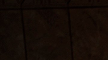 In this Nov. 25, 2010 picture, Narcisa Tranca, 22, top, poses with her sister Claudia, 18, left, and two of her children in Udupu, Romania. Among Gypsies, or Roma, marrying young is a tradition born of the need to survive in an environment where young women were fair game for non-Roma men. Romanian Roma, in particular, turned to early marriage during 500 years of slavery that ended only in the 19th century. (AP Photo/Vadim Ghirda)