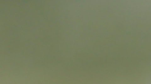 El delantero italiano Mario Balotelli ha tenido una carrera llena de altos y bajos.