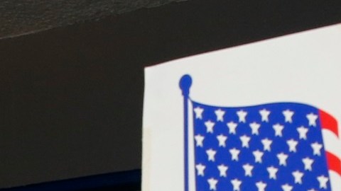 Supuestos votos ilegales representaron apenas el 0.0001 por ciento en las elecciones de 2020.